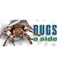 Bugs a side PEST CONTROL Profile Picture