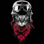 Kewir BINNYUY Profile Picture