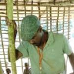 Stavros AMERICANOS Profile Picture