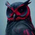 Wilfried MICHOULA Profile Picture