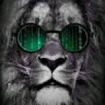 Yannick OLANGANA Profile Picture