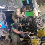 Dongmo BRAEL Profile Picture