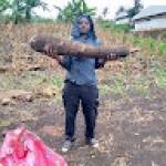 Simplice SAHA Profile Picture