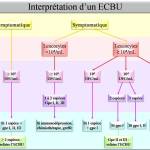 Labotop Profile Picture