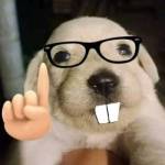 Hmong UFABET Profile Picture