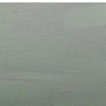 Aara SPACES Profile Picture