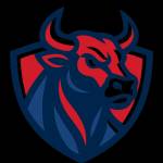 Gb BULLS Profile Picture