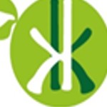 Koudje KETCHE Profile Picture