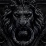 Junior NDOMBO Profile Picture