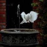 ahamadd Profile Picture