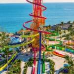 Wild RIVERS Profile Picture