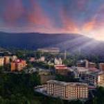 Sachin JSCHAUHAN Profile Picture