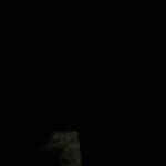 Traveller Shuttle Profile Picture