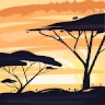 LILYETTE Erika NGUETTE TCHATHOUANG Profile Picture