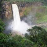 Collins KAMDEM Profile Picture