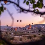 Rent A Car With Driver IN CAPPADOCIA Profile Picture