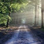 Money SKILLED Profile Picture