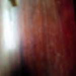 Landry MBOCK Profile Picture