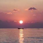 dawdsaf dawd Profile Picture