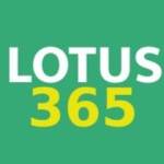 Lotus 365 Profile Picture