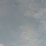 Foisa ELVIS Profile Picture