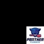 Panther Plumbing OF MARIETTA Profile Picture