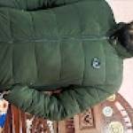 Muhammad IRFAN Profile Picture