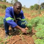 Uriel Diliane BEBONGUENO BOMOKIN Profile Picture