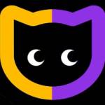 Poster SALON Profile Picture