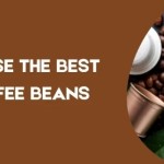 Brightmindsco Roasters Profile Picture