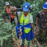 Julienne YEPGANG KOUAMENI Profile Picture