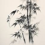 Qhpreform MOULD Profile Picture