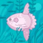 Kti Flore YANGA Profile Picture