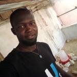 David HAMADOU Profile Picture