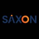 Saxon AI Profile Picture