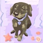 Tima NORTH Profile Picture
