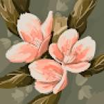Garima SHARMA Profile Picture