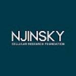 Njinsky FOUNDATION Profile Picture