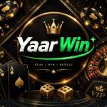 Yaaz WIN Profile Picture