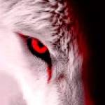 Amy VIRK Profile Picture