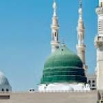 Alhaddi TRAVEL Profile Picture