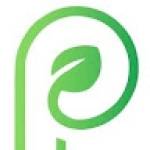 Parchment Paper Profile Picture