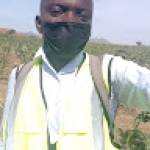 Dibrine MOUAFO Profile Picture
