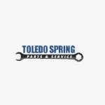 Toledo SPRING Profile Picture