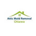 Attic Mold REMOVAL OTTAWA Profile Picture